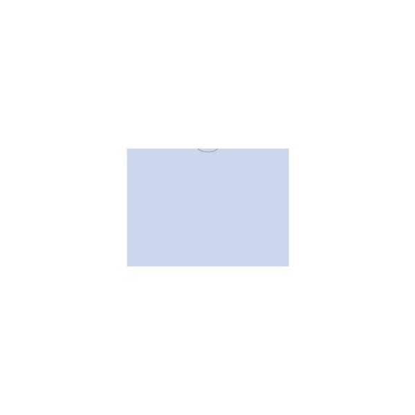 Asp Vhicl Deal Envelopes (Deal Jackets)Plain, 9" X 12", 100 Per Pk: Blue Pk 522